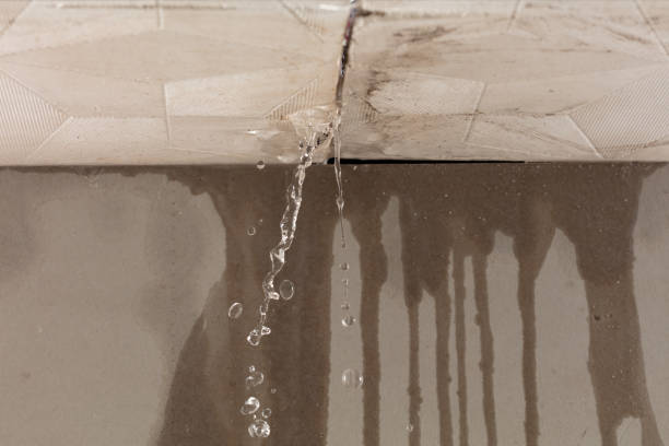 Professional Commercial Water Damage Restoration technician working in Holland, TX